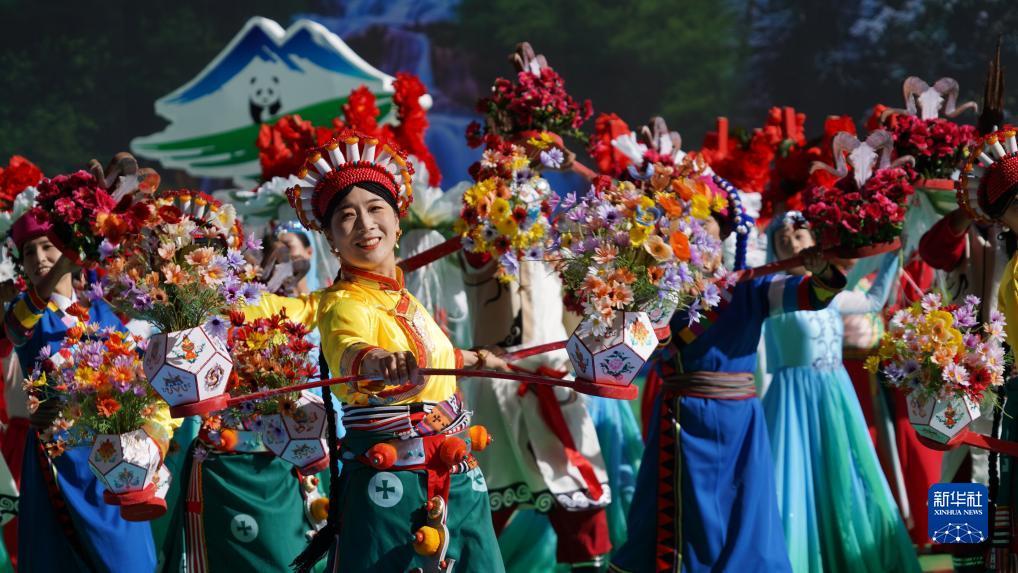 白菜送彩金59网站大全